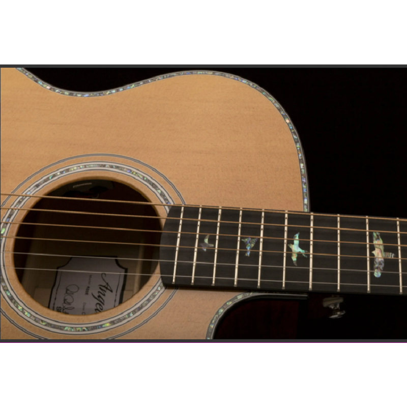 PRS SE AE50E Angeles Acoustic-Electric Guitar Black Gold
