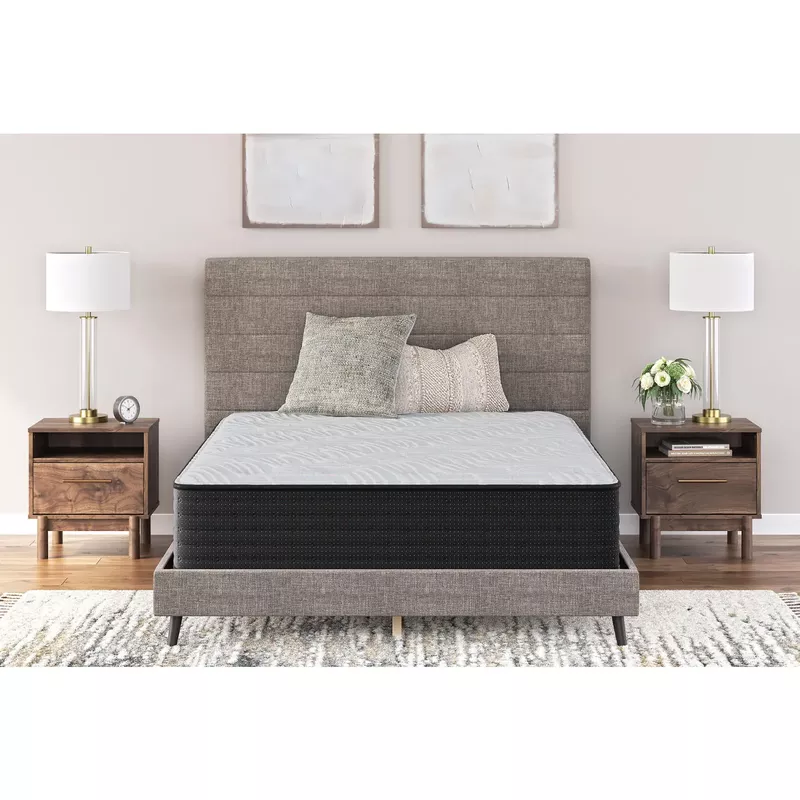 Palisades Plush Queen Mattress