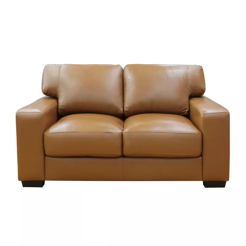 Bordeaux 65 in. Tan Leather Match 2-Seater Loveseat with Large Track Arms