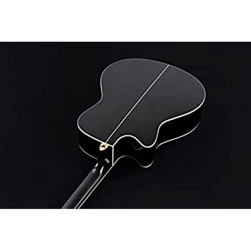 Rent to own Washburn Deep Forest Burl 6 String AcousticElectric Guitar