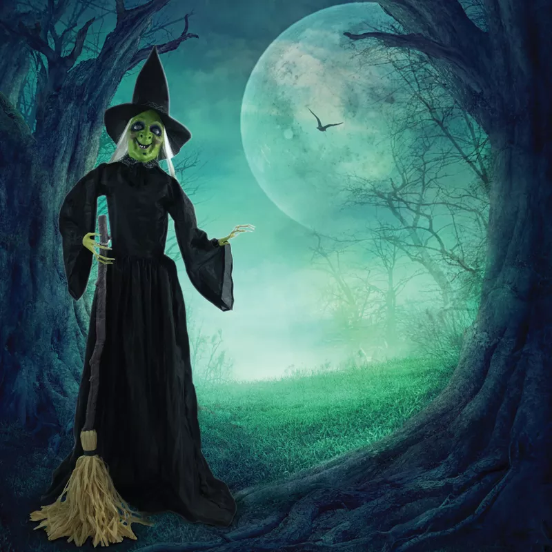 71-In. Animatronic Witch with Broomstick, Indoor or Covered Outdoor Halloween Decoration, Talking, Poseable, Battery-Operated