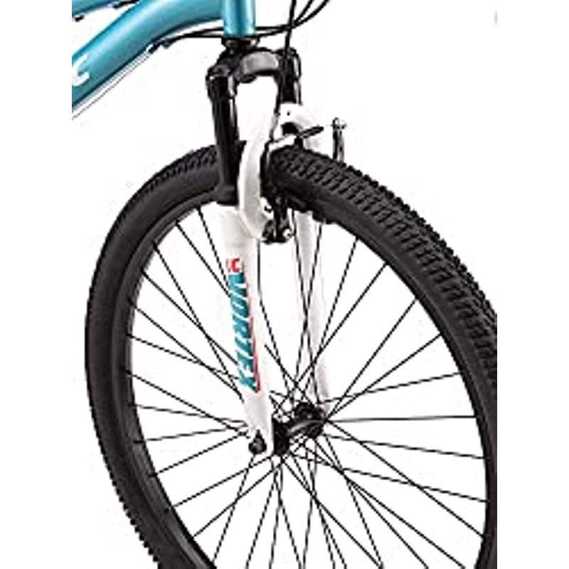 Pacific Cavern Youth/Adult Mountain Bike, 7 and 21 Speed Twist Shifter Options, 12-17.5-Inch Steel Frame, Multiple Colors