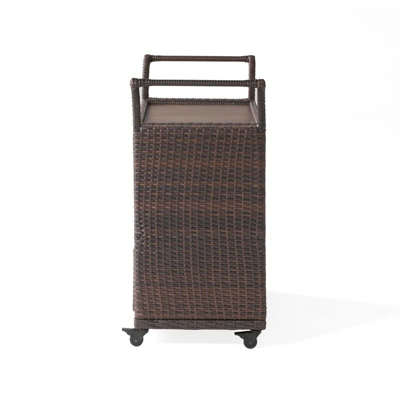 Azriel Multi-brown Wicker Indoor Bar Cart by Christopher Knight Home - Brown