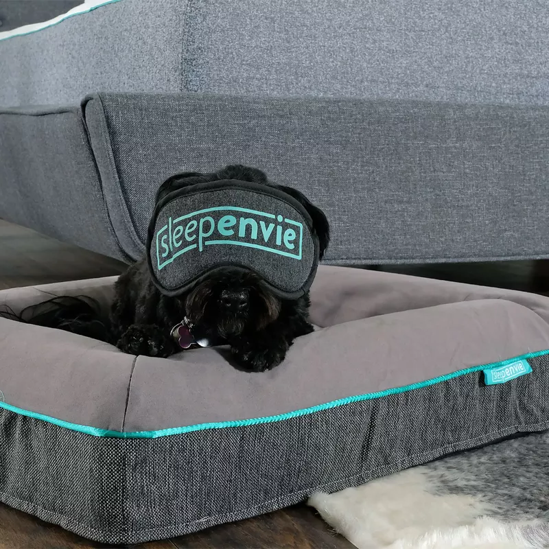 Rent to own Jaxon Waterproof Memory Foam Dog Bed, Large