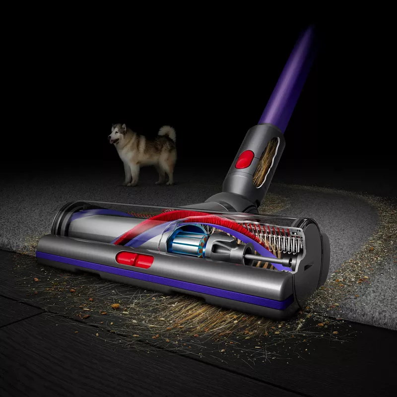 Dyson - Gen 5 Detect Cordless Vacuum Purple