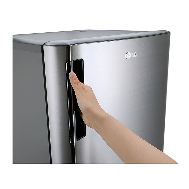 LG 6 Cu. Ft. Platinum Silver Single Door Refrigerator 