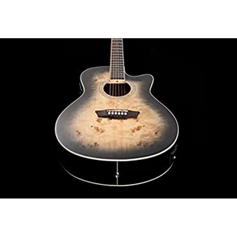 Rent to own Washburn Deep Forest Burl 6 String AcousticElectric Guitar