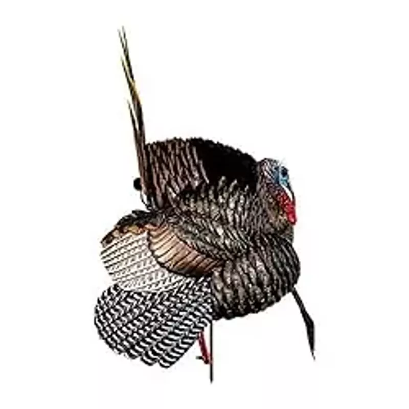AVIAN-X HDR Strutter Turkey Decoy - Rugged Durable Realistic Lifelike Dominant Body Standing Hunting Decoy with 2 Removable Heads & Wings, Beard, Adjustable Tail Fan, Mounting Stake & Carry Bag
