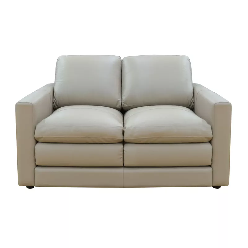 Knox 57 in. Taupe Leather Match 2-Seater Loveseat