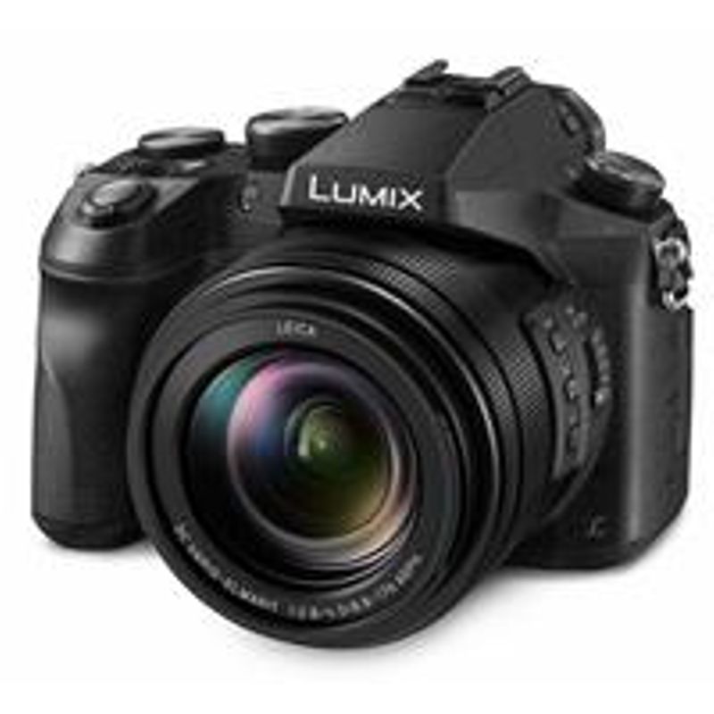 Panasonic Lumix DMC-FZ2500 Digital Point & Shoot Camera