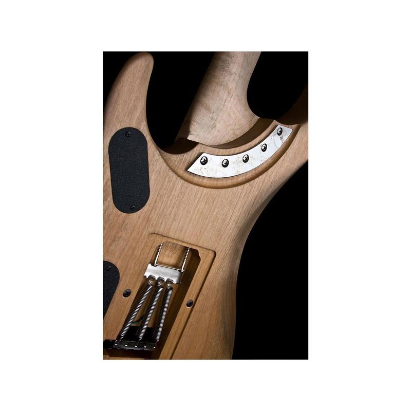 Rent to own Washburn Nuno Bettencourt N24VINTAGEK Double Cutaway