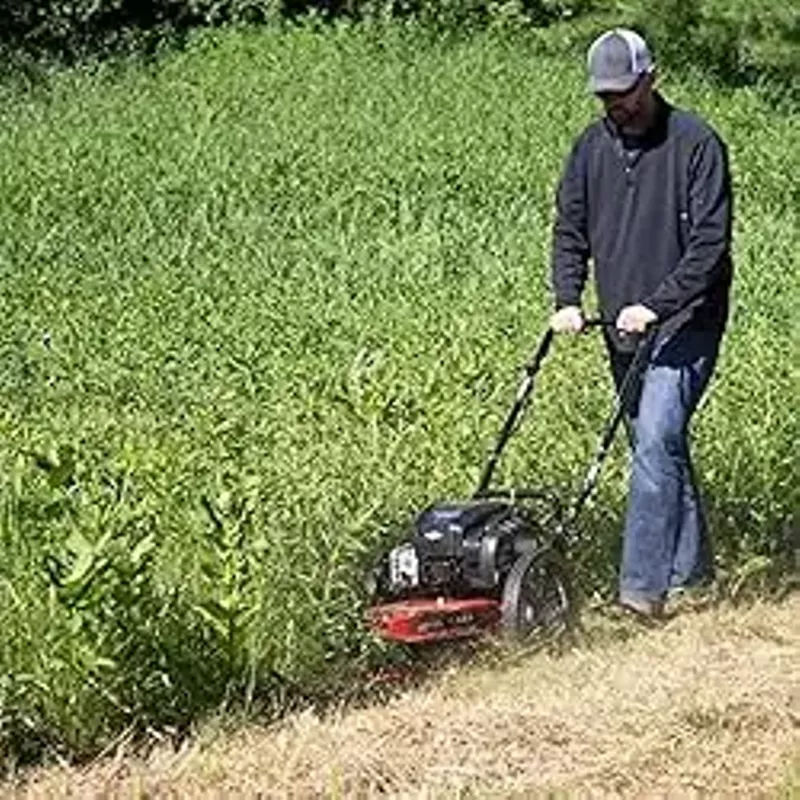 Toro Walk Behind String Mower, 163cc Briggs and Stratton 4-Cycle Engine, 22-Inch Cutting Diameter, Large 14" Wheels, Heavy Duty Replaceable Cutting Lines, 58620