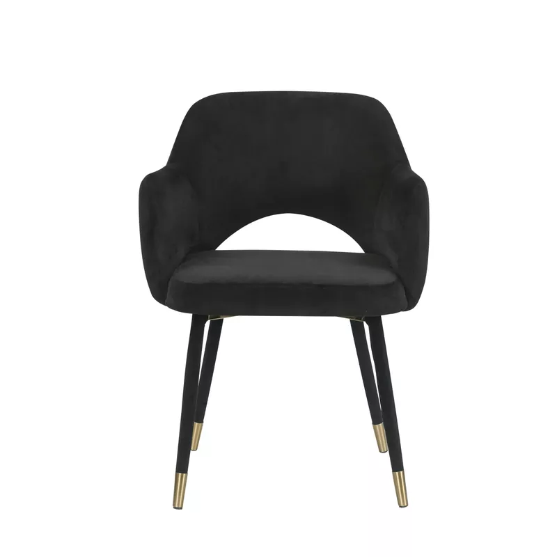 ACME Applewood Accent Chair, Black Velvet & Gold