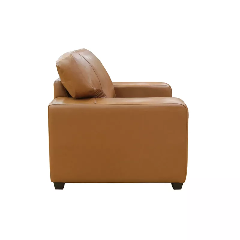 Bordeaux 41 in. Tan Leather Match Armchair with Large Track Arms