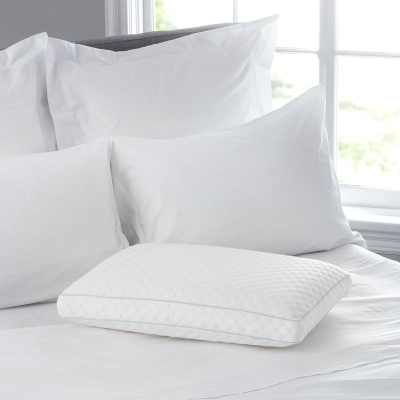 Sealy Memory Foam Cluster Pillow - Standard