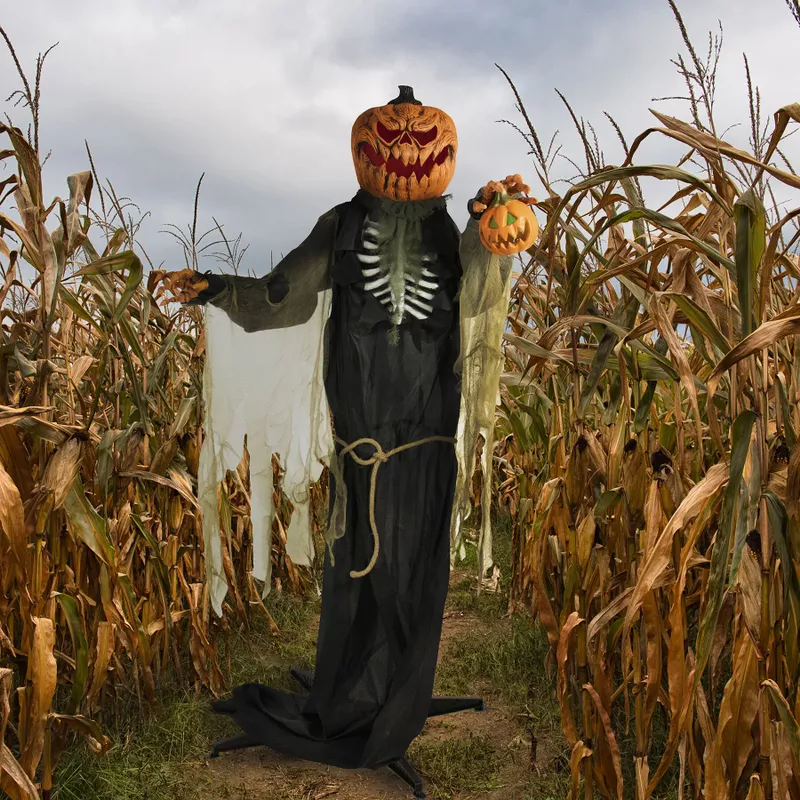 Life-Size Poseable Pumpkin Man with Lights and Sound, Indoor or Covered Outdoor Halloween Decoration