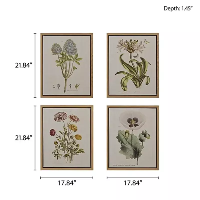 Herbal Botany 4-piece Botanical Illustration Framed Canvas Wall Art Set