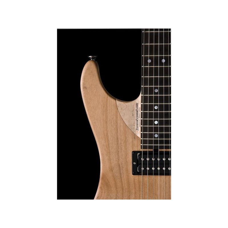 Rent to own Washburn Nuno Bettencourt N24VINTAGEK Double Cutaway