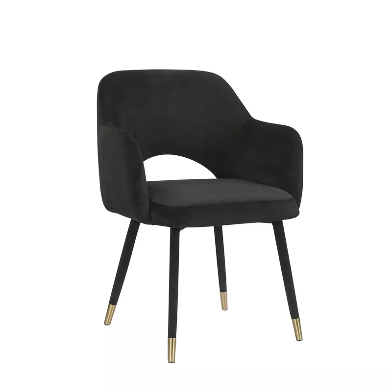 ACME Applewood Accent Chair, Black Velvet & Gold
