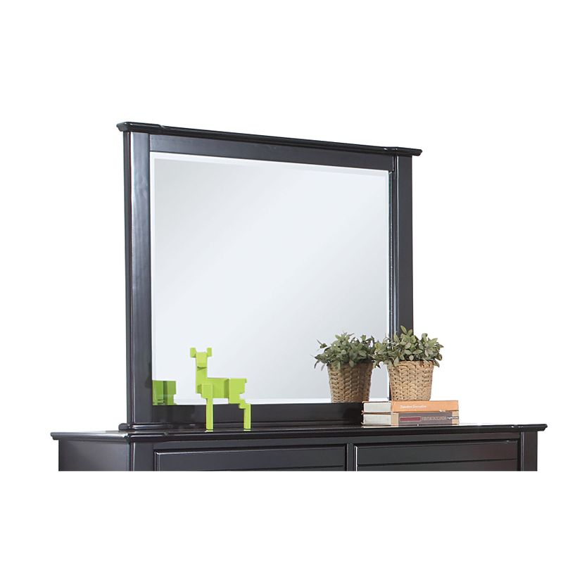 Acme Furniture Mallowsea Beveled Mirror with Pne Frame - Mirror, Black, 48" x 2" x 38"H