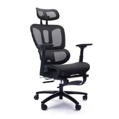 Ergonomic Chair